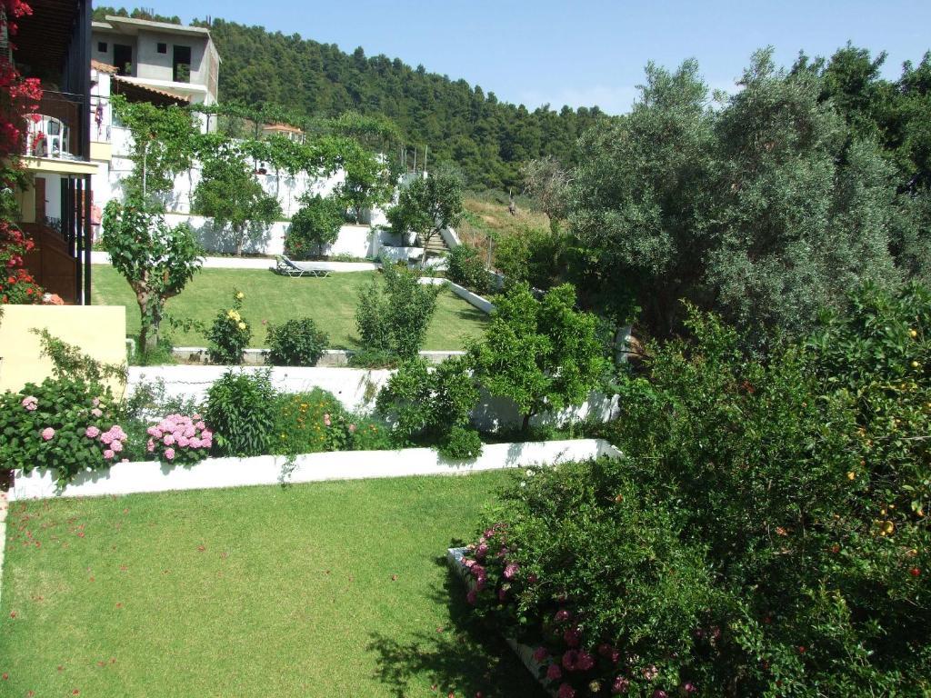 Skiathos Argento 콜리오스 외부 사진